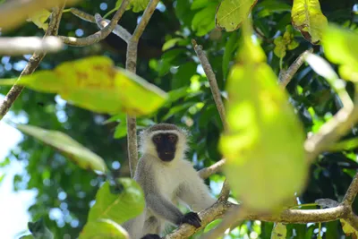 DSC_7925 (Large).JPG